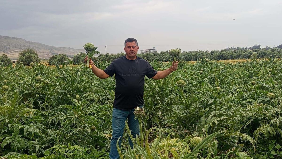 İlk kez yediği ürün hayatını değiştirdi: Karaciğer dostu olarak biliniyor 2