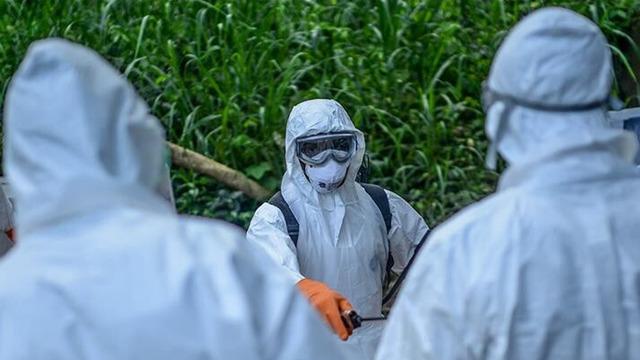 Küresel salgın riskine karşı DSÖ alarmda: Grip ile karışabilir