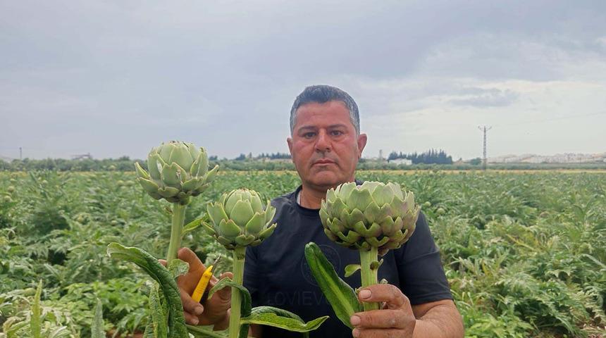 İlk kez yediği &uuml;r&uuml;n hayatını değiştirdi: Karaciğer dostu olarak biliniyor