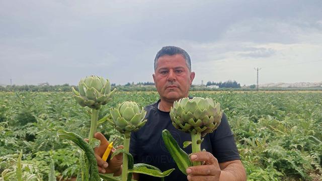 İlk kez yediği ürün hayatını değiştirdi: Karaciğer dostu olarak biliniyor
