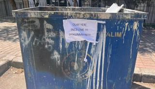 İzmir'de 33 kedi &ouml;l&uuml;s&uuml; bulundu! Veteriner g&ouml;zaltında 