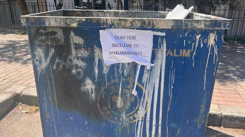 İzmir'de 33 kedi &ouml;l&uuml;s&uuml; bulundu! Veteriner g&ouml;zaltında 
