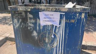 İzmir'de 33 kedi ölüsü bulundu! Veteriner gözaltında 