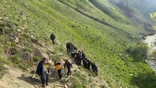 Yüksekovada'da pancar toplarken kayalıklardan düşen kadın hayatını kaybetti