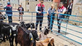 Bozdoğan’da kurban satış yerleri denetlendi