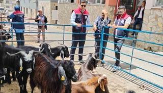 Bozdoğan&rsquo;da kurban satış yerleri denetlendi