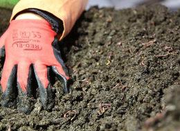 Mahkumların ürettiği solucan gübresine talep yağıyor