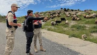 Batman’da Jandarma, Kurban Bayramı öncesi hırsızlara karşı besicileri uyardı