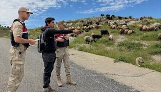 Batman&rsquo;da Jandarma, Kurban Bayramı &ouml;ncesi hırsızlara karşı besicileri uyardı