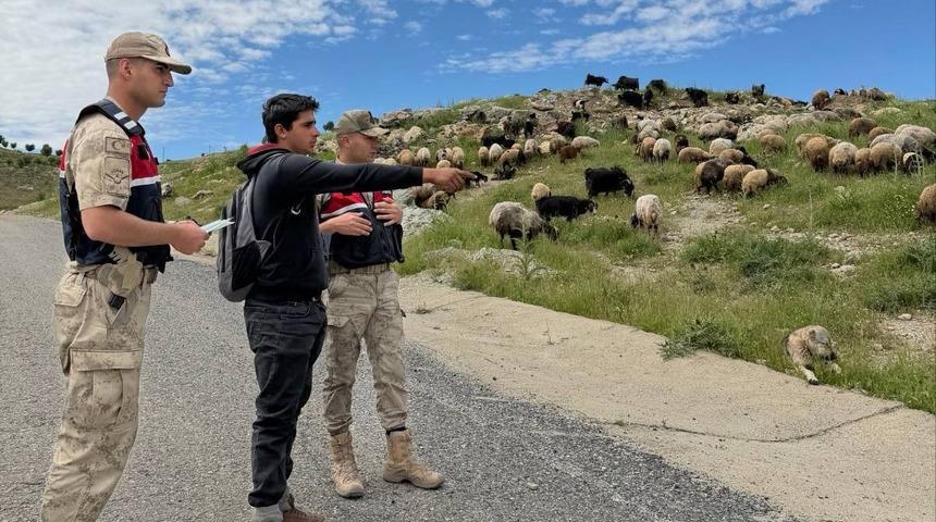 Batman&rsquo;da Jandarma, Kurban Bayramı &ouml;ncesi hırsızlara karşı besicileri uyardı