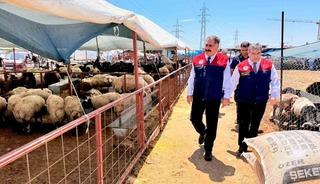 Mersin&rsquo;de Kurban Bayramı &ouml;ncesi satış noktalarında sıkı denetim