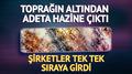Yer alt�nda dev ke�if: Alt�n, bak�r ve g�m�� bir arada
