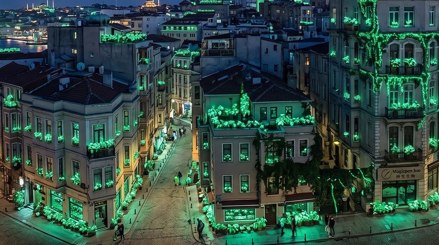 Gece sokaklar bu bitkiyle aydınlanacak