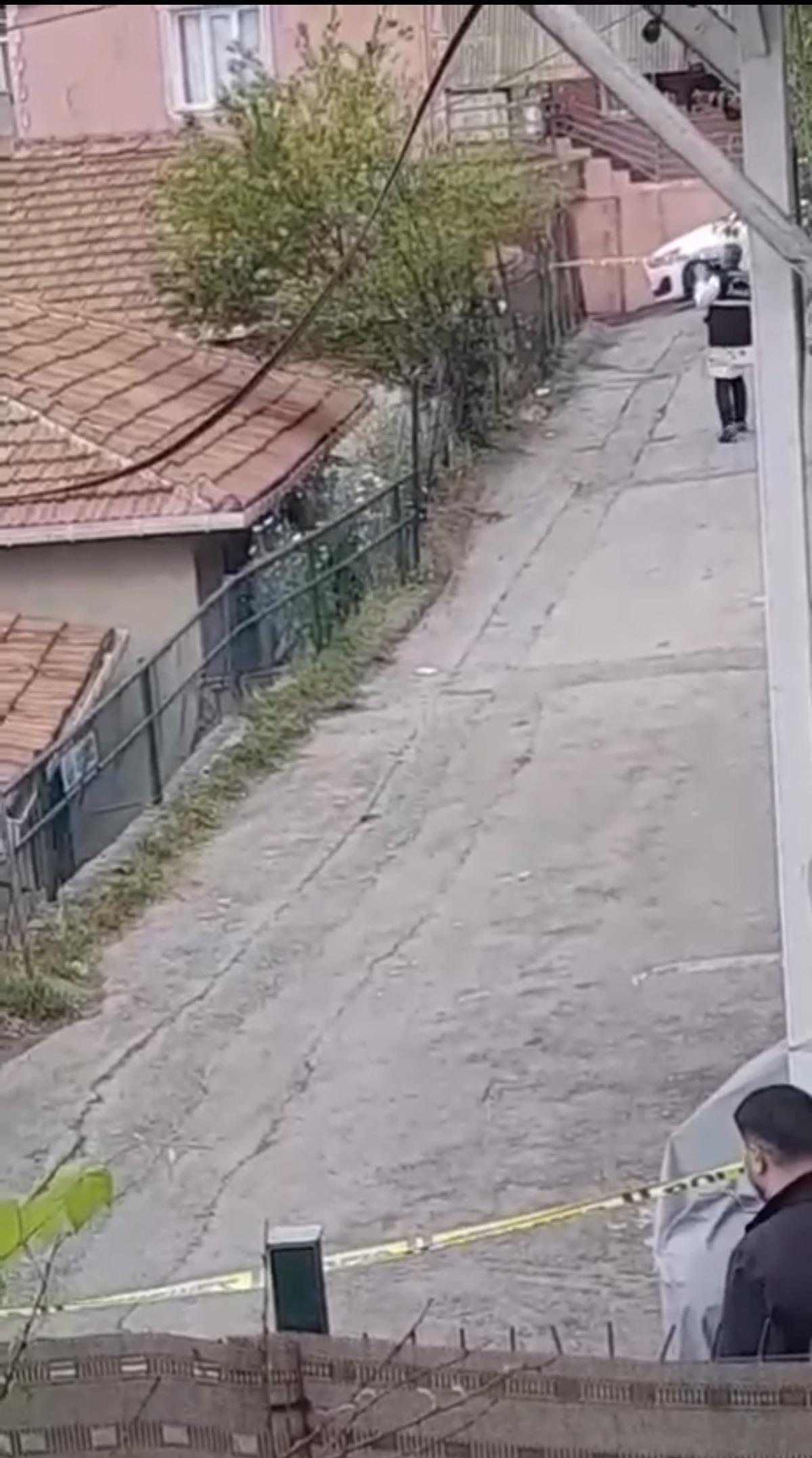 Evini boyarken bahçede buldu: İçinden çıkanlara inanamadı! 3
