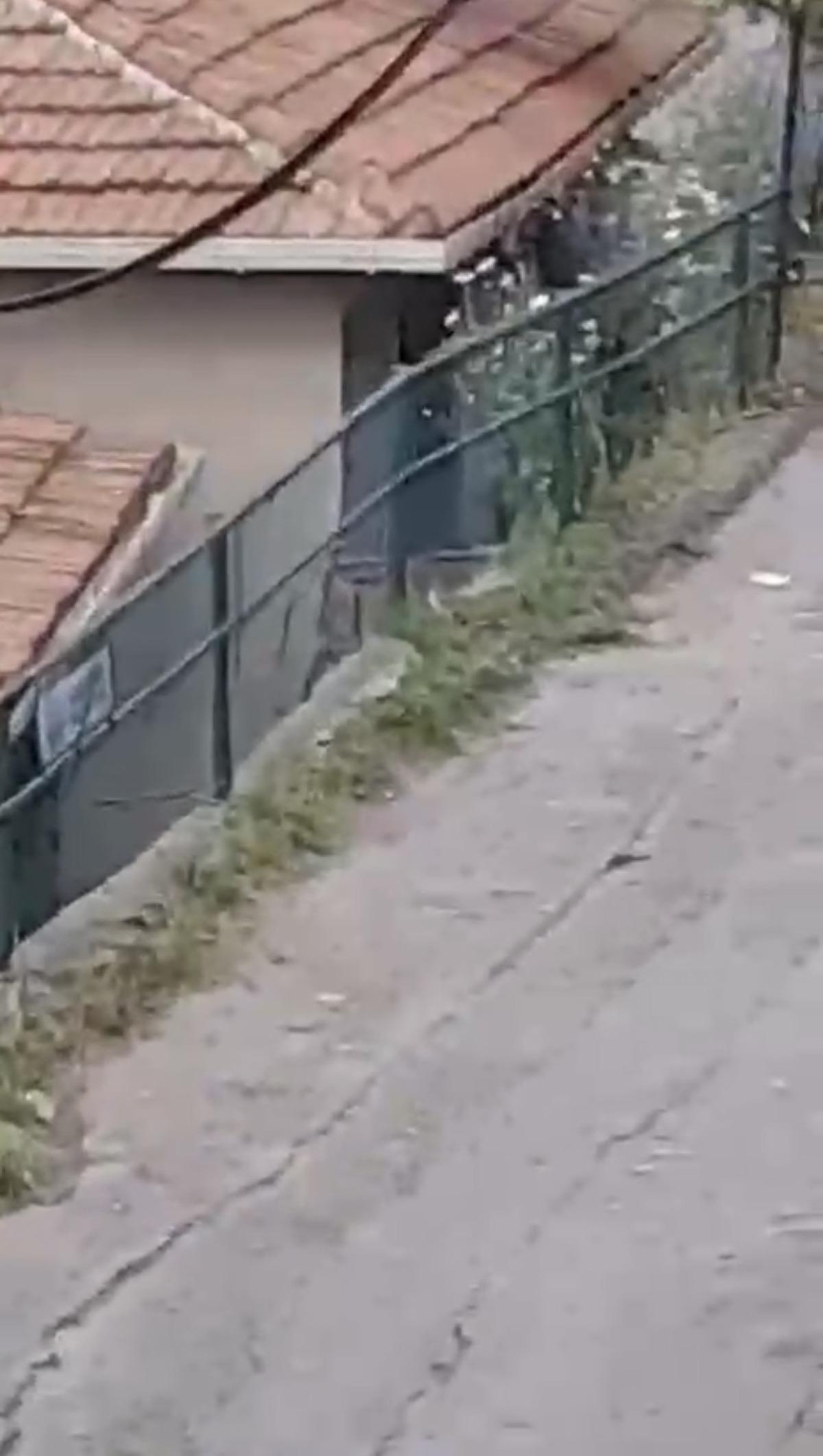 Evini boyarken bahçede buldu: İçinden çıkanlara inanamadı! 2
