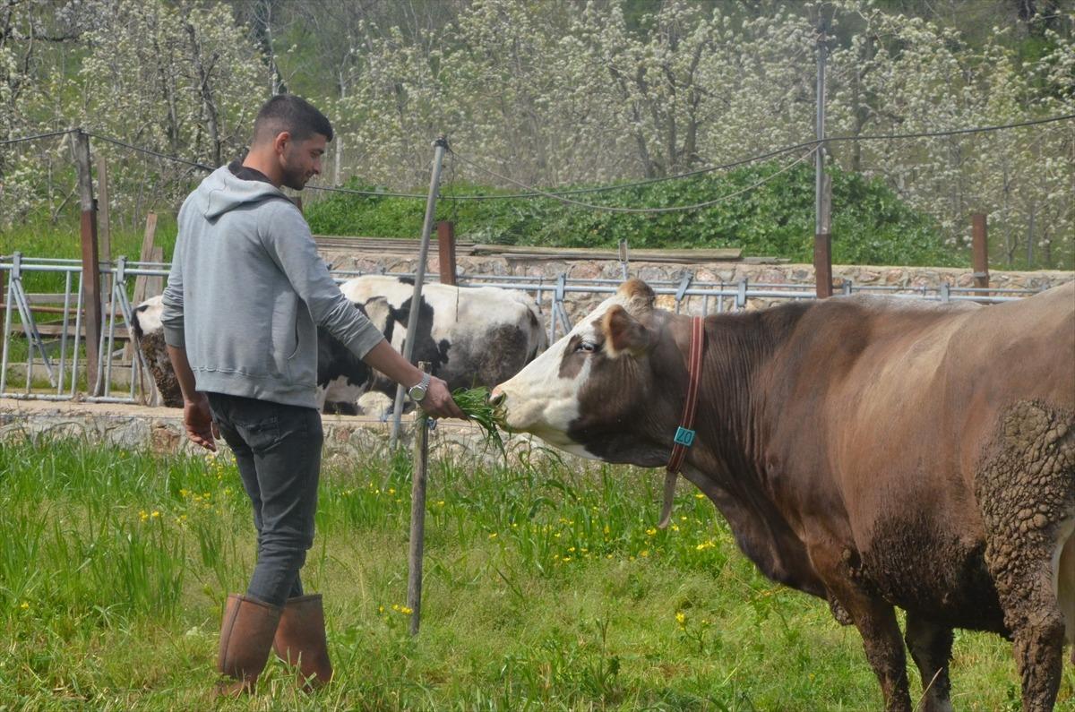 Kurduğu işi kapatıp meslek değiştirdi: Yapan yok diye başladı 4