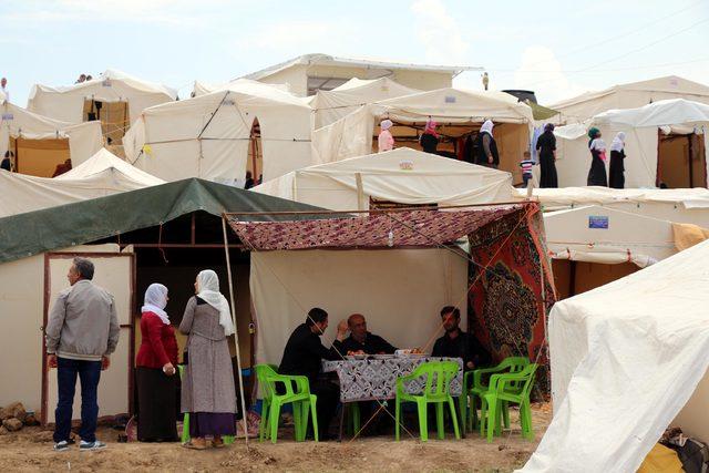 Şeyh Halid'i anma etkinliğinde 8 bin fidan dikildi