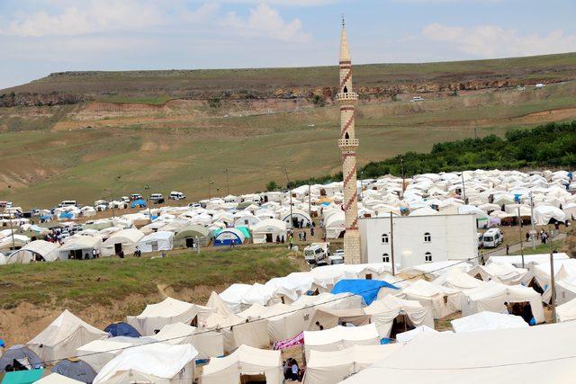 Şeyh Halid'i anma etkinliğinde 8 bin fidan dikildi