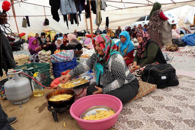 Şeyh Halid'i anma etkinliğinde 8 bin fidan dikildi