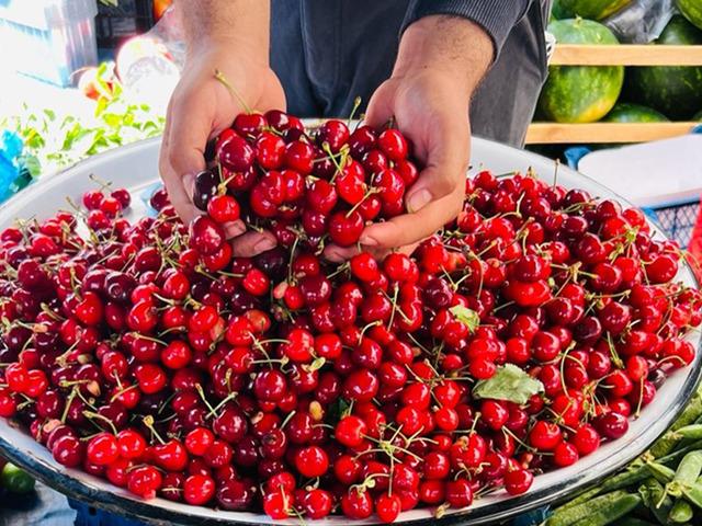 Tarımda zirveyi bırakmadı! 31 &uuml;r&uuml;nde T&uuml;rkiye birincisi oldu