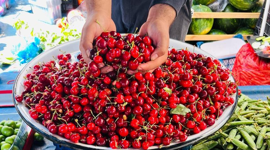 Tarımda zirveyi bırakmadı! 31 &uuml;r&uuml;nde T&uuml;rkiye birincisi oldu