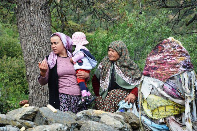 Sarıgöl'de 200 yıllık 'Olcak Dede' geleneğinde onlarca kurban kesildi