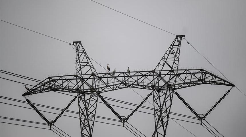 Spot piyasada elektrik fiyatları (24 Mayıs 2026)