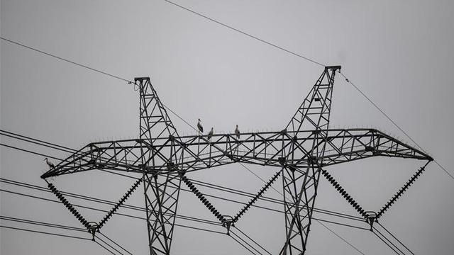 Spot piyasada elektrik fiyatları (24 Mayıs 2026)