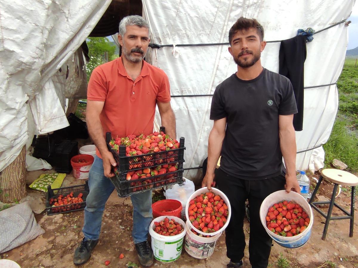 Verim yüksek ama endişeliler: Bu kısmı bahçede kaldı 5