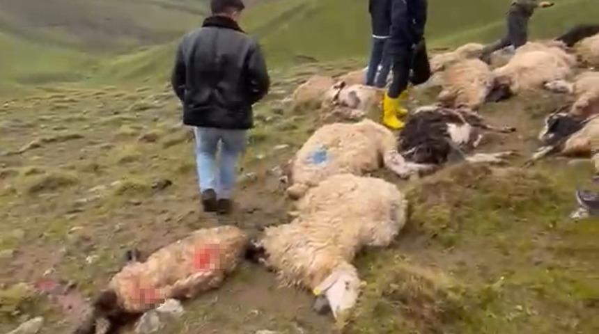 Van&rsquo;da s&uuml;r&uuml;ye yıldırım isabet etti: 30 koyun telef oldu
