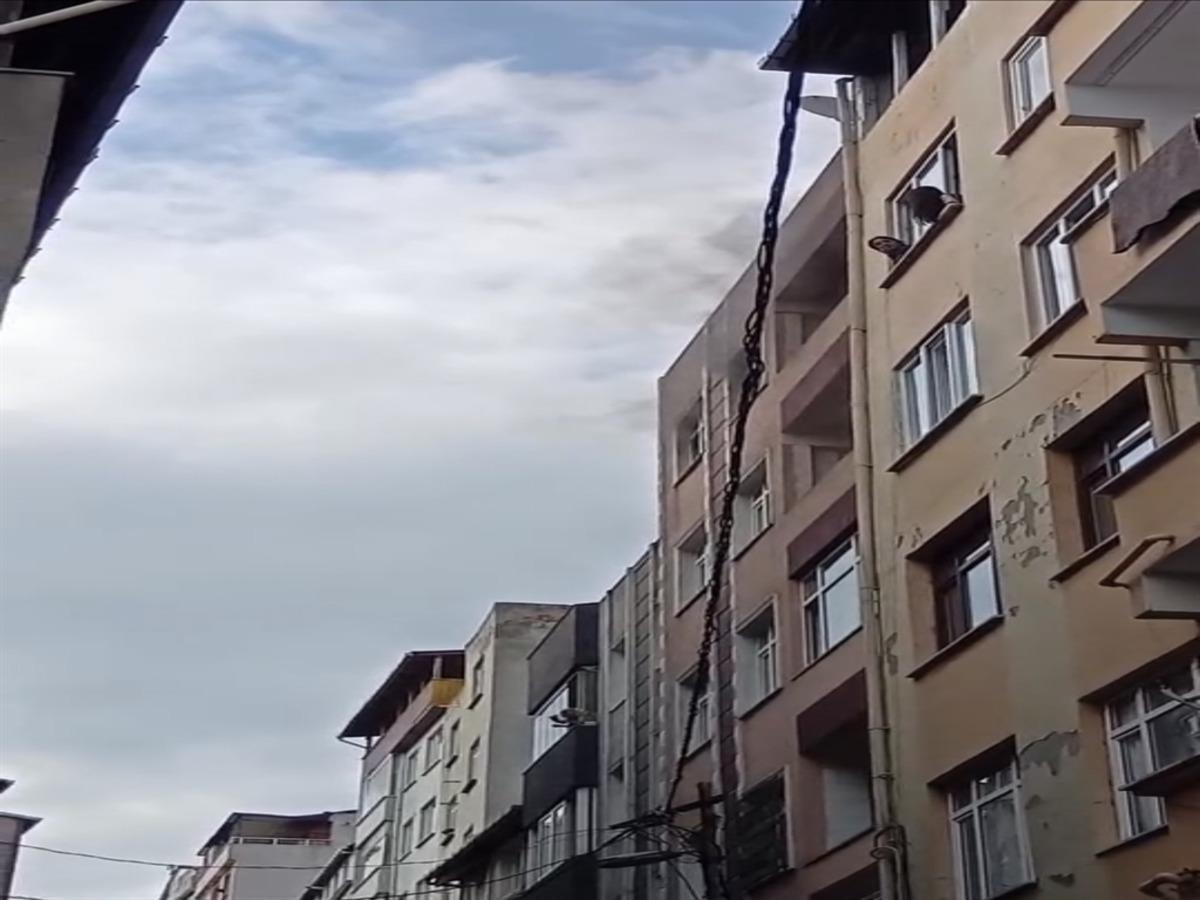 Şişli’de yangın ihbarına gittiler uyuşturucu serası buldular; değeri yarım milyon lira 3