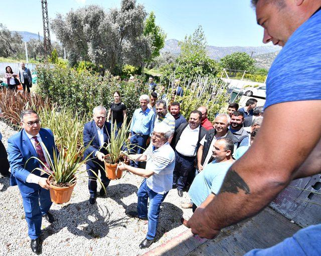 İzmirli çiçek üreticisi, çiçek devi Hollanda'ya ihracata başladı