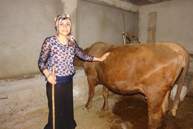 Merada hayvan otlatırken, üniversiteye hazırlanıyor