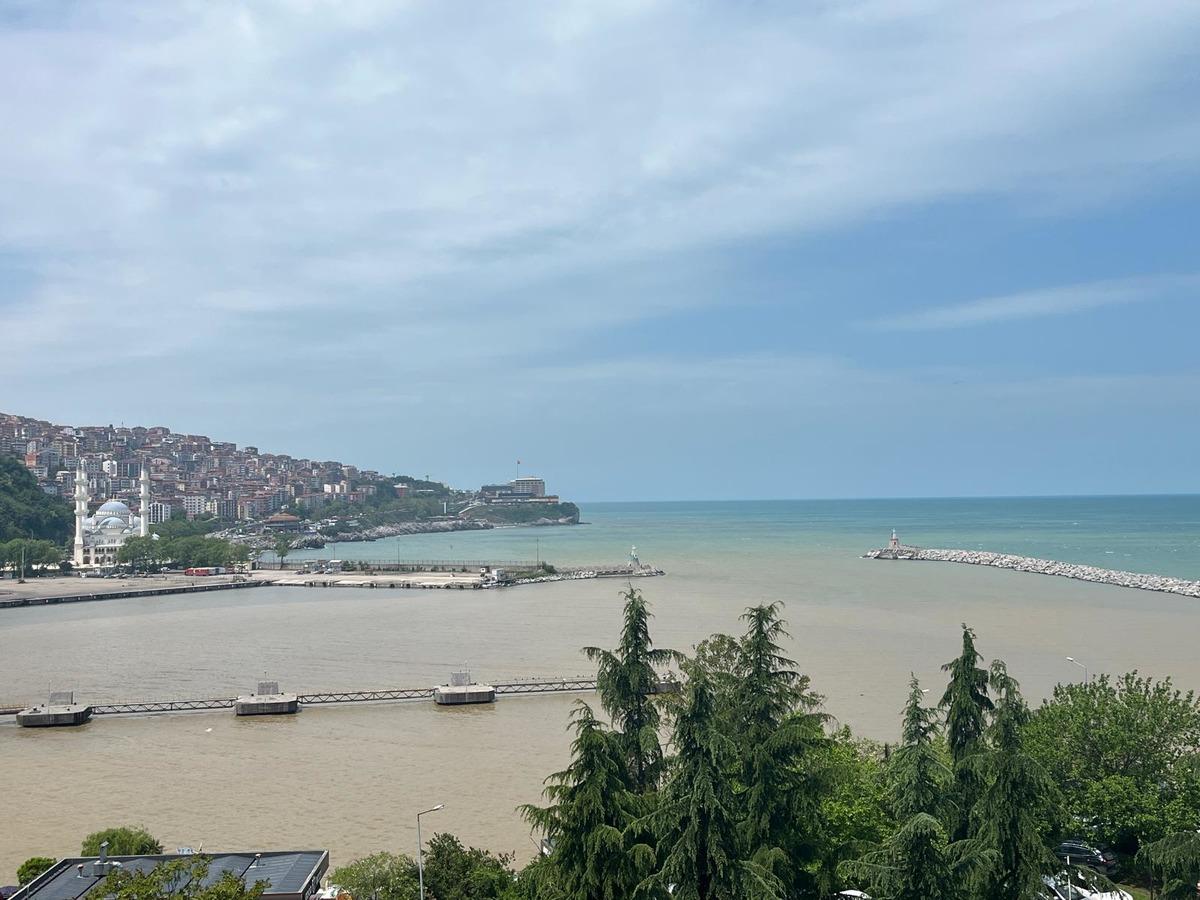 Dereden taşıp aktı: O şehirde denizin rengi değişti 2