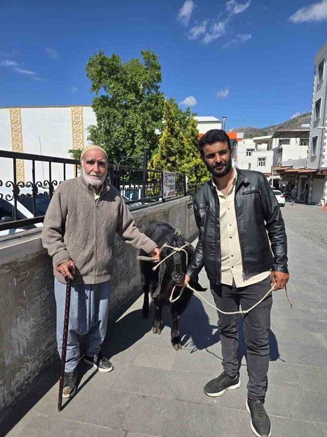 70 kiloluk dev keçi 36 bin liraya satıldı 3