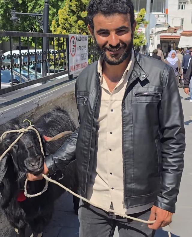 70 kiloluk dev keçi 36 bin liraya satıldı 1
