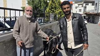 70 kiloluk dev keçi 36 bin liraya satıldı