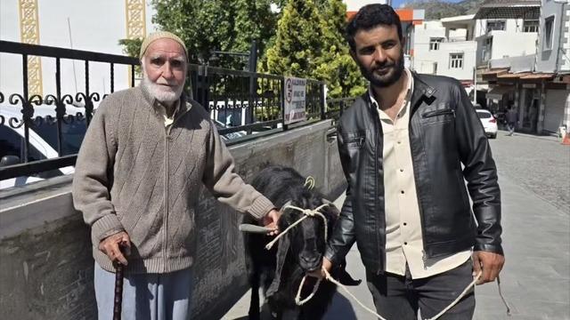 70 kiloluk dev keçi 36 bin liraya satıldı