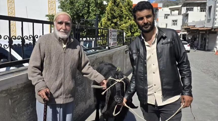 70 kiloluk dev ke&ccedil;i 36 bin liraya satıldı