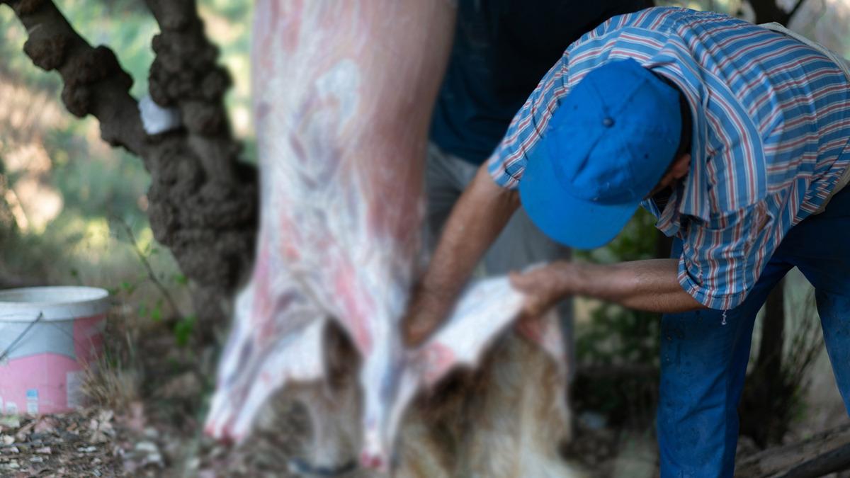 Kurban kesecekler dikkat: Sakın çöpe atmayın! Servet değerinde