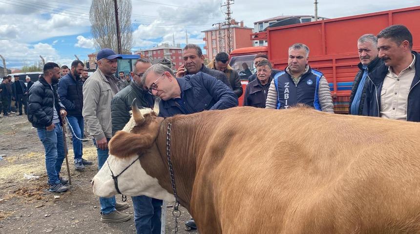 Vali Polat, kurban pazarlığında ara buluculuk yaptı