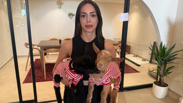 Anneleri ölen oğlakları sahiplendi, işlettiği kafede bakıyor