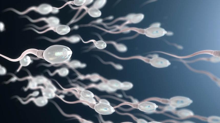 Sperm sayısı nasıl arttırılır? 