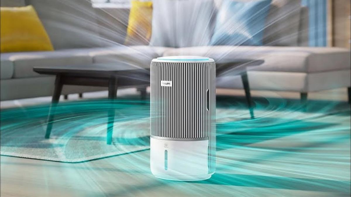 Sadece cam açmak yeterli mi? Evdeki hava kalitesini artıran 10 gizli kahraman 3