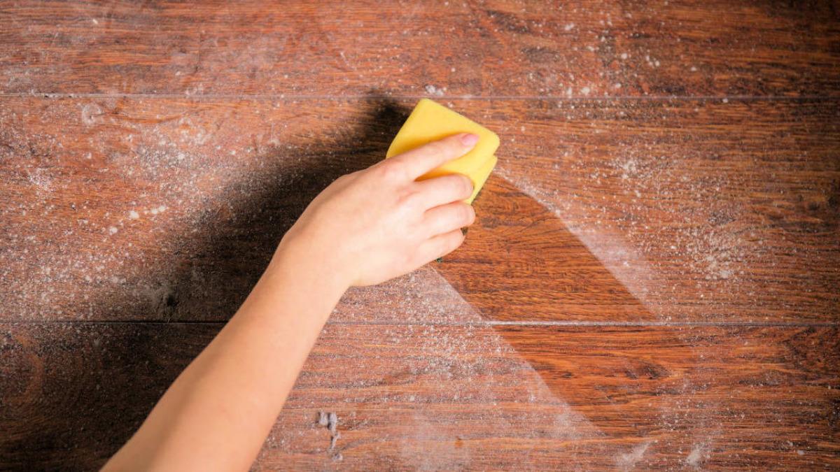 Sadece cam açmak yeterli mi? Evdeki hava kalitesini artıran 10 gizli kahraman 6