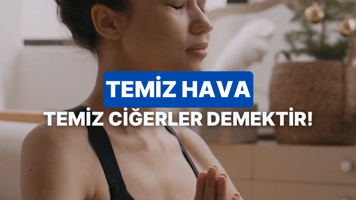 Sadece cam a&ccedil;mak yeterli mi? Evdeki hava kalitesini artıran 10 gizli kahraman