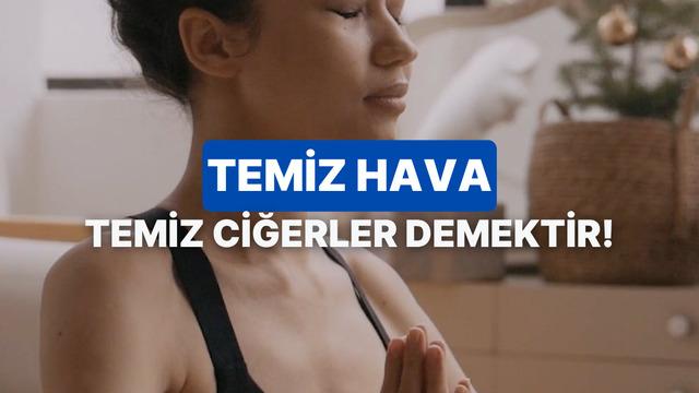 Sadece cam açmak yeterli mi? Evdeki hava kalitesini artıran 10 gizli kahraman