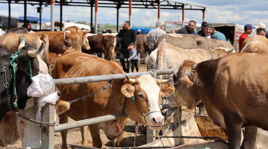 Vatandaş ortak girdi, pazarda talep arttı: Otomobil fiyatına tosun satıldı