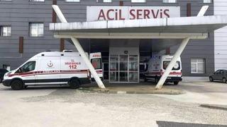Son dakika: Arı saldırısına uğrayan yaşlı &ccedil;ift hastanelik oldu