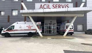 Arı saldırısına uğrayan yaşlı &ccedil;ift hastanelik oldu